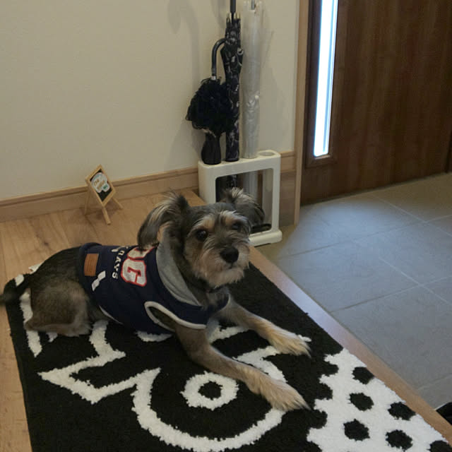 m.chanさんの実例写真