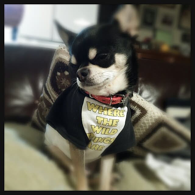 akhmさんの実例写真