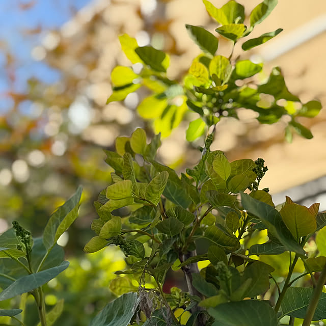 asako.10さんの部屋