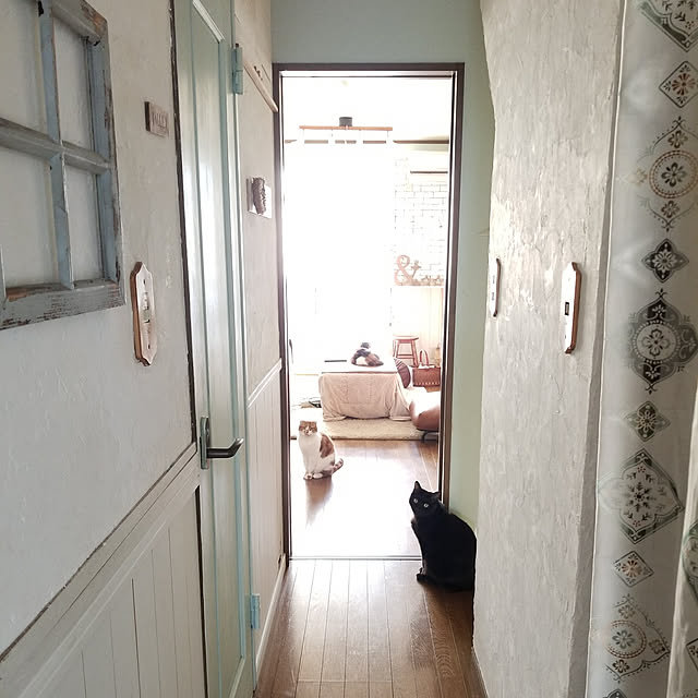 mikiさんの実例写真