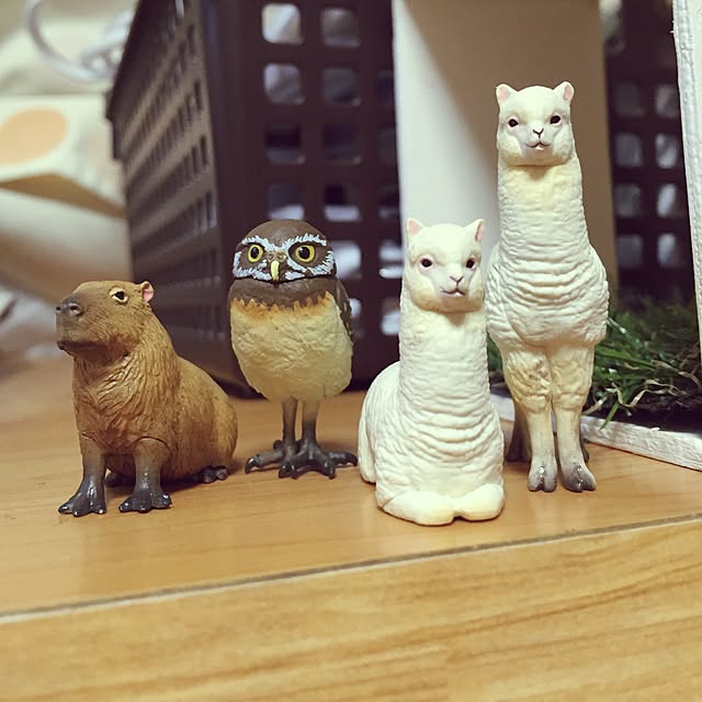madamさんの実例写真