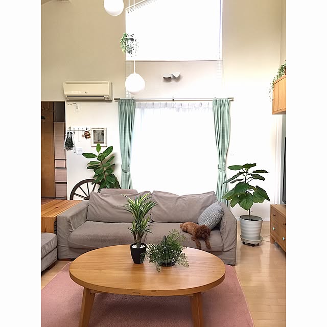 cherryさんの実例写真