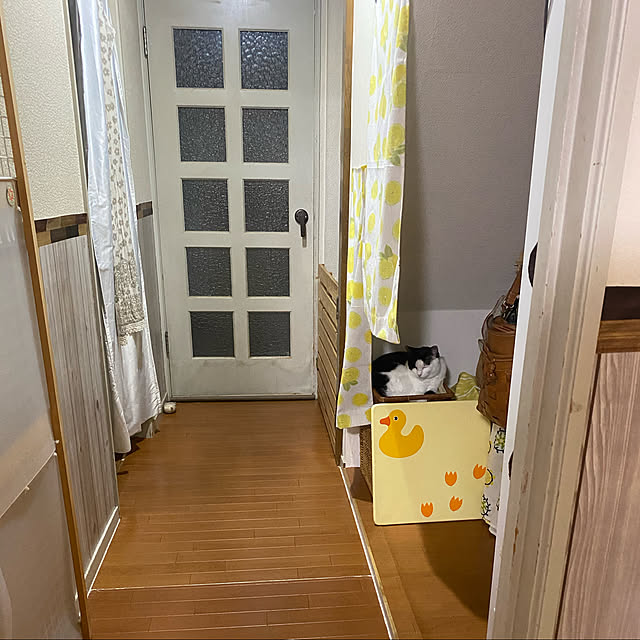 SHIHOさんの実例写真
