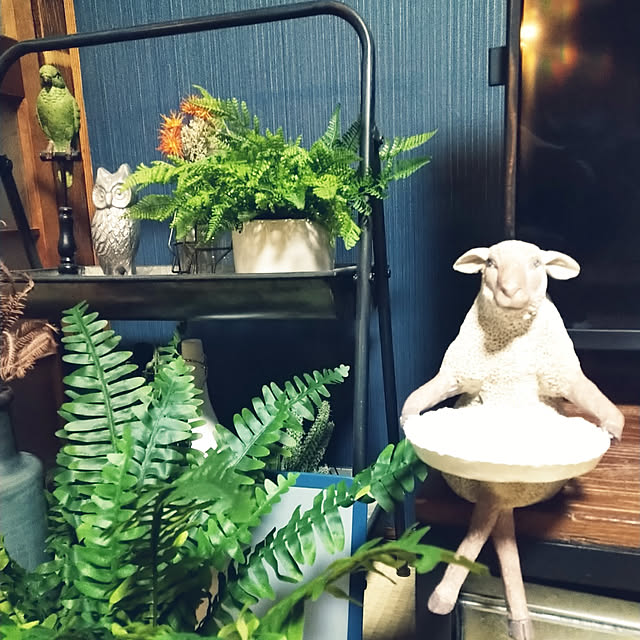 mizuさんの実例写真