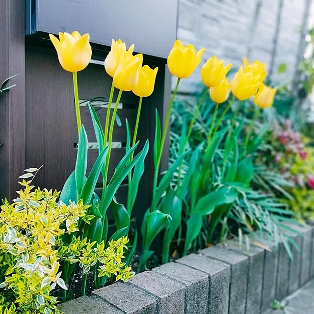 ryomomさんの部屋