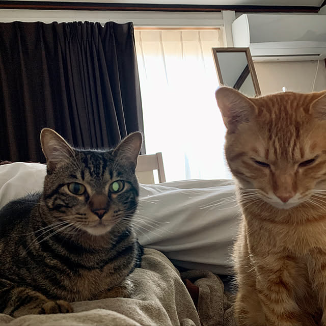 rijuさんの実例写真