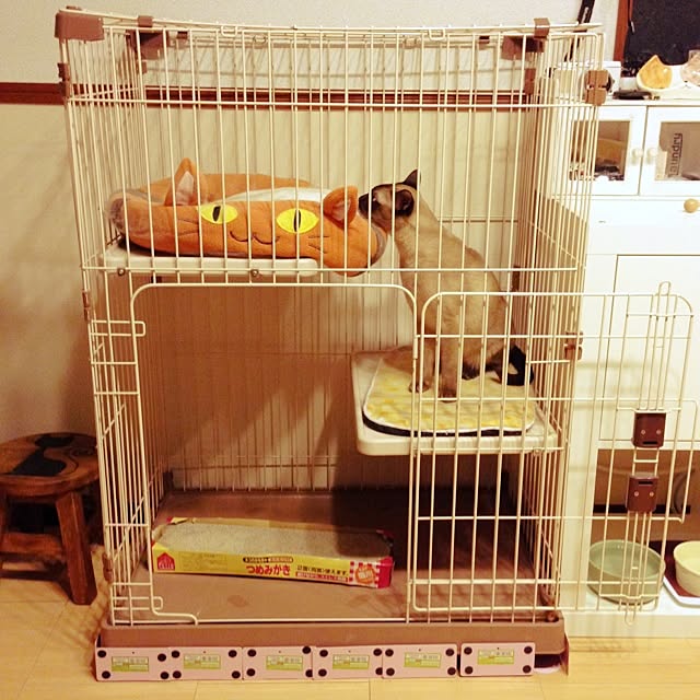 monkeymajimajikさんの実例写真