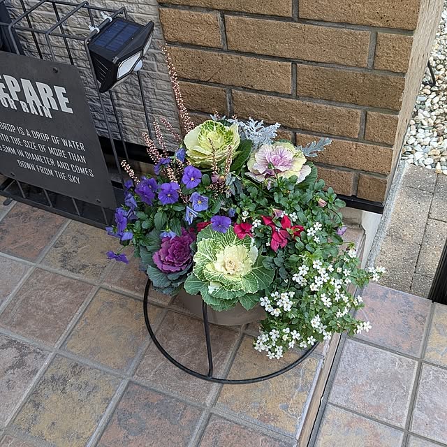 nippopoさんの部屋