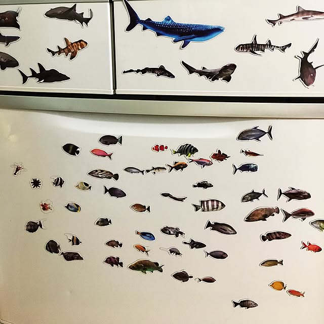 Amikoさんの実例写真