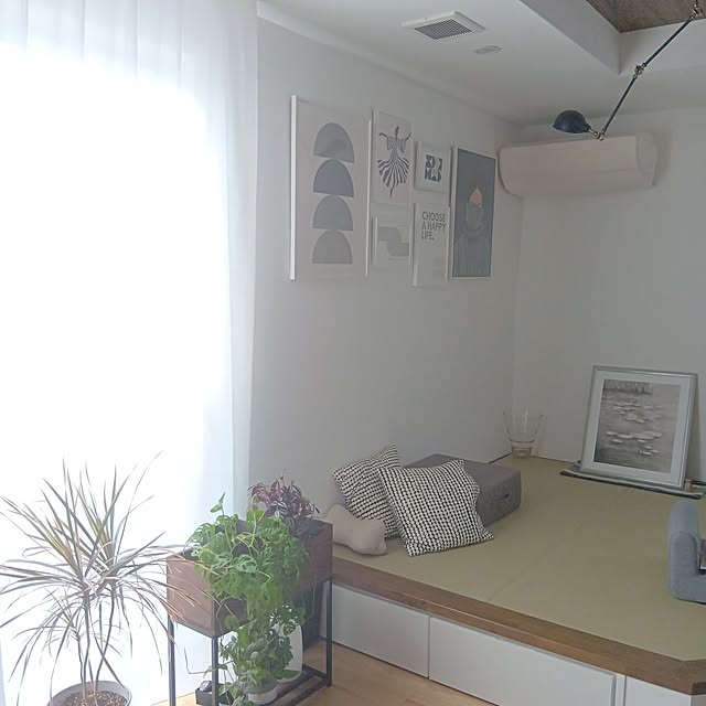 anmomaruさんの部屋