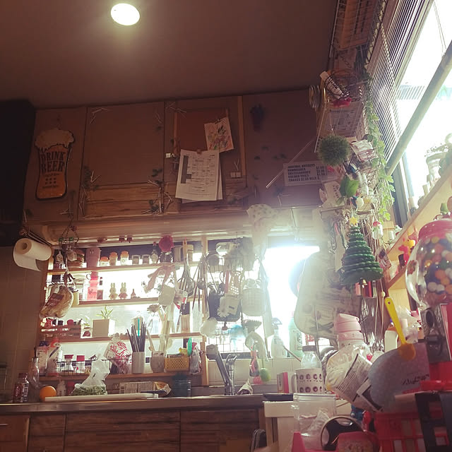 キッチン/DIY/観葉植物/雑貨/ハンドメイドのインテリア実例 - 2022-07-18 16:41:50