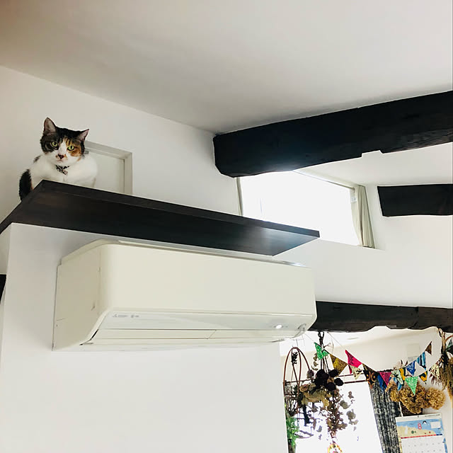 Maruさんの実例写真