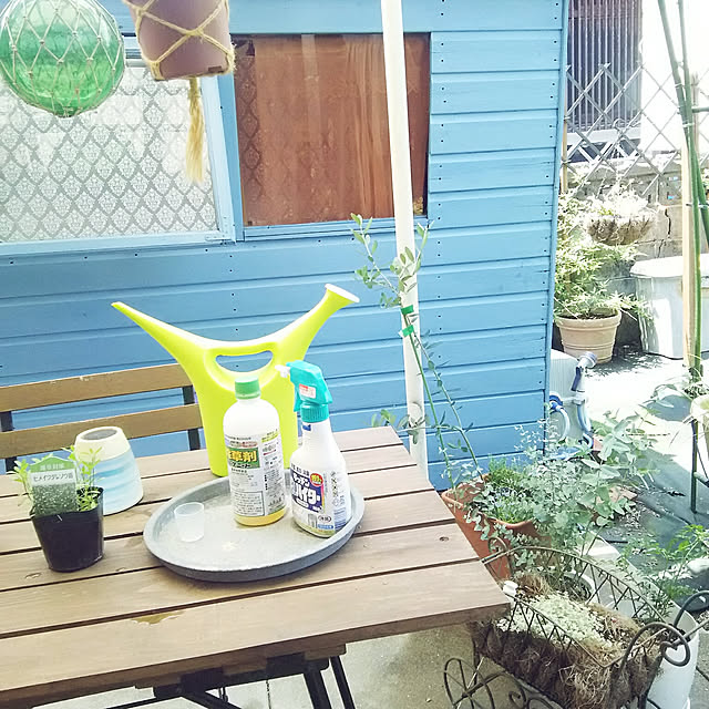 Netemosametemo-amiさんの部屋