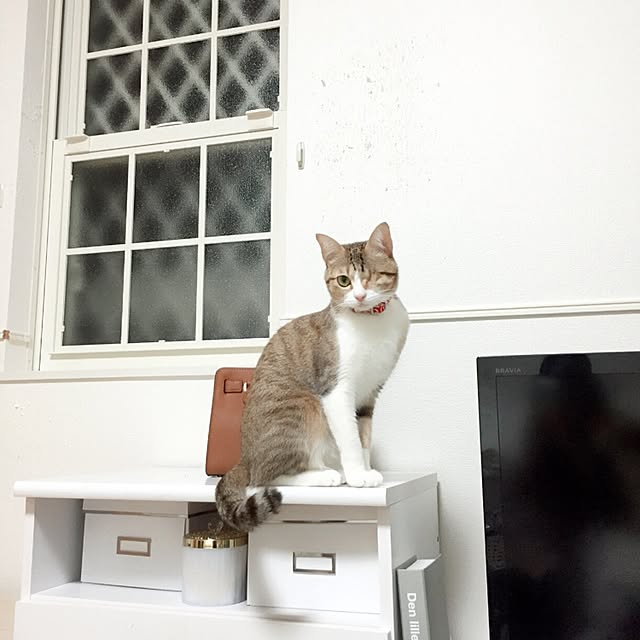chiroさんの実例写真