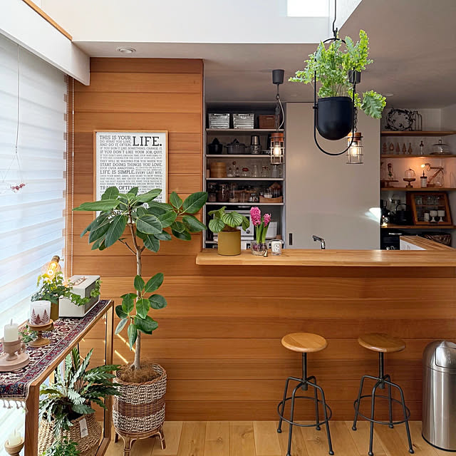 Cheeseさんの実例写真