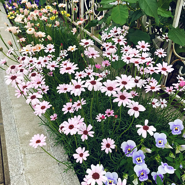 tomoさんの部屋