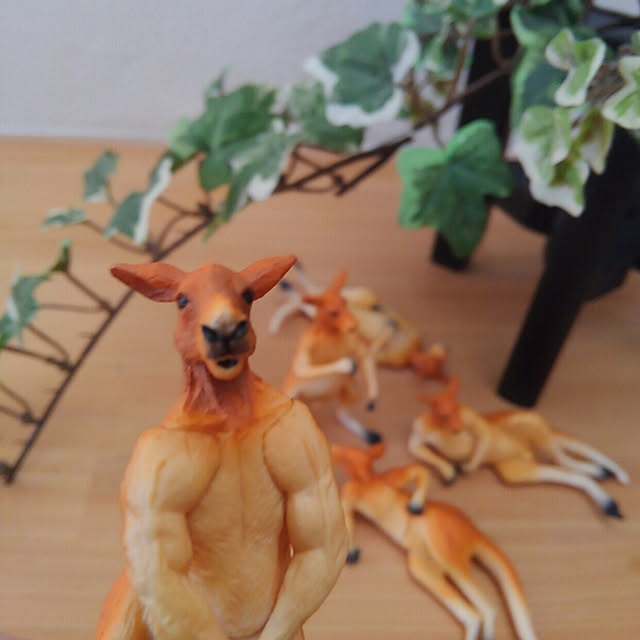 kazuyosi35nさんの実例写真