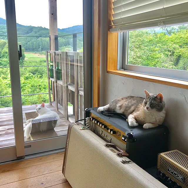 sakurasakuさんの実例写真