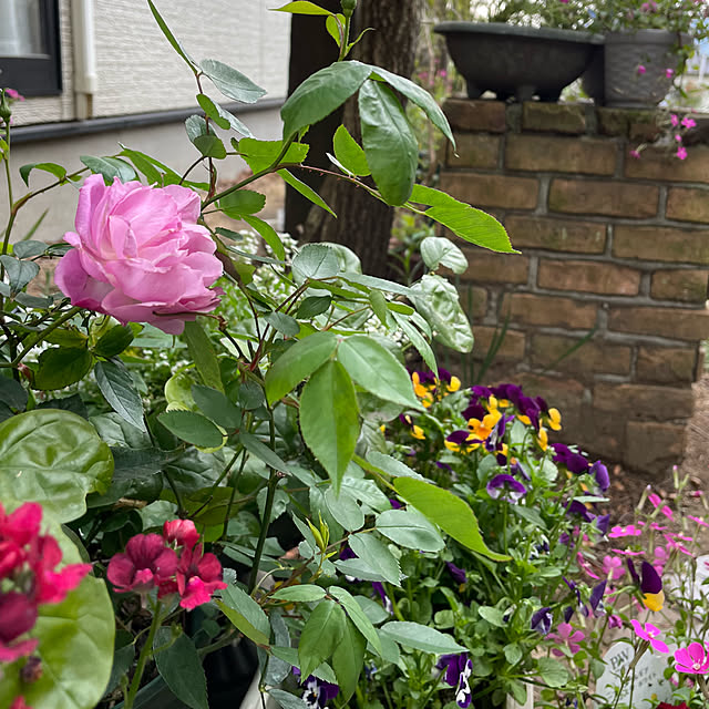 natsumiさんの部屋