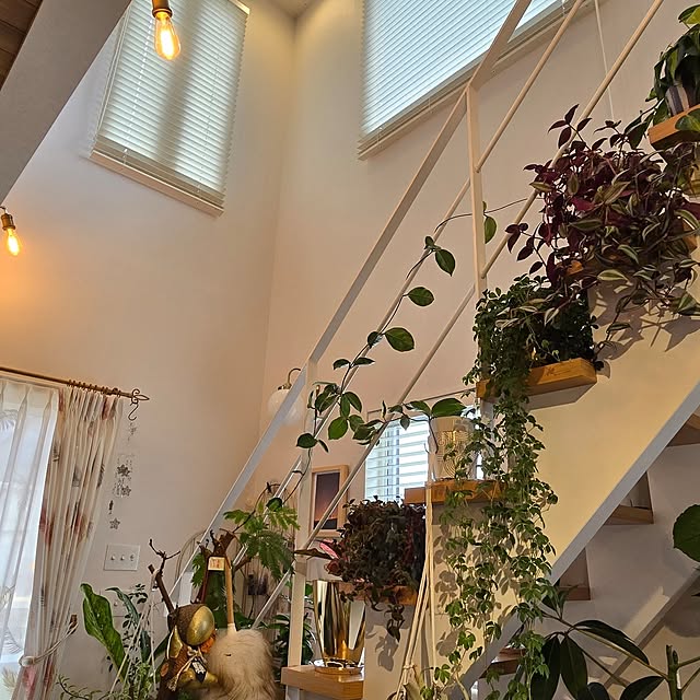 nonbiri_house_さんの実例写真