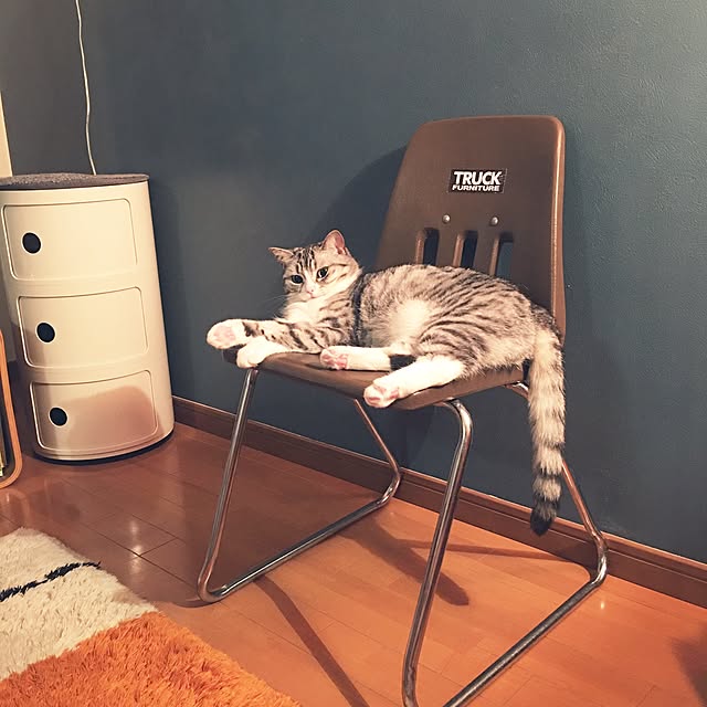 Shojiさんの実例写真