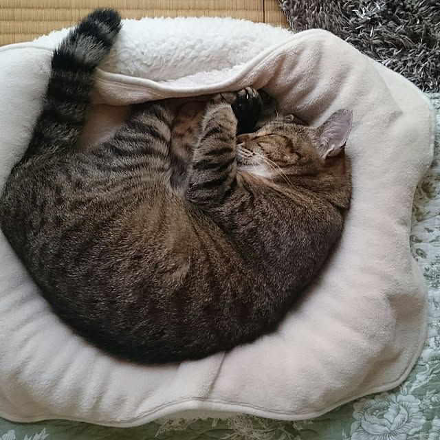 lilyさんの実例写真