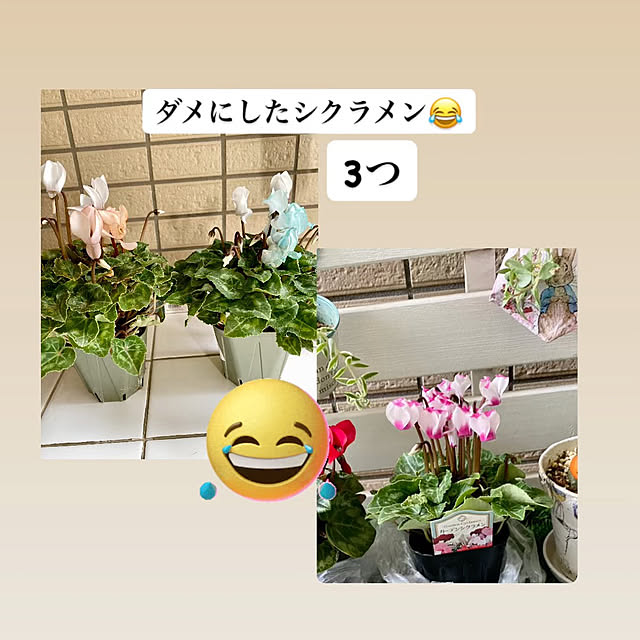 YuuKoさんの部屋