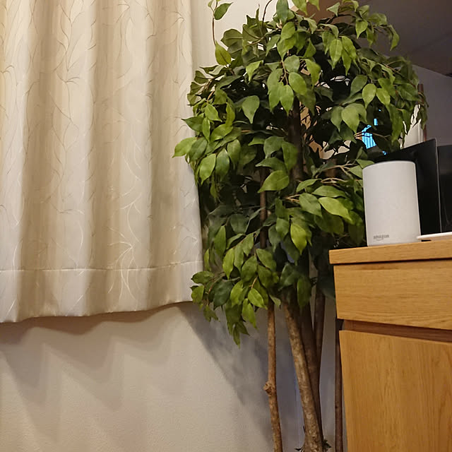 sakuraさんの実例写真