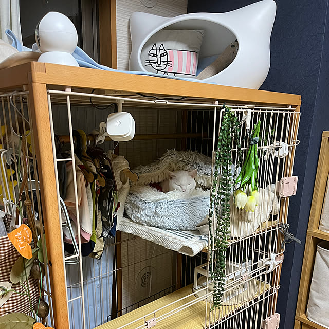 hanaさんの実例写真