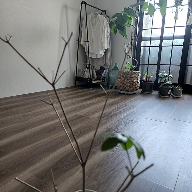 CYNOSさんの実例写真