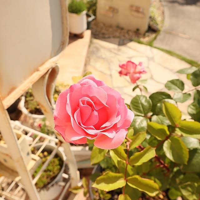 S.homeさんの実例写真