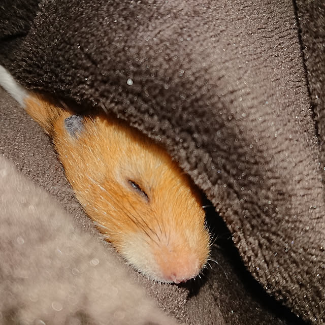xxxakyxxxさんの実例写真