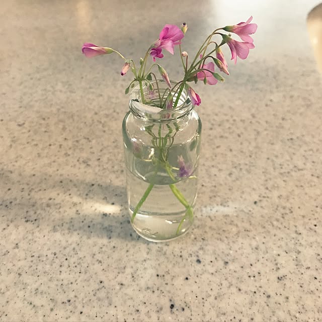 guuu1025さんの実例写真