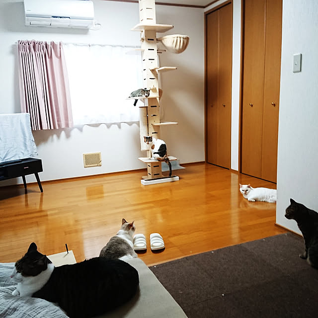 nachiさんの実例写真