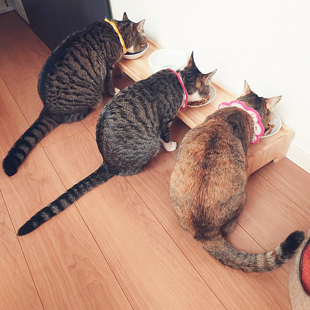 mochicoさんの実例写真