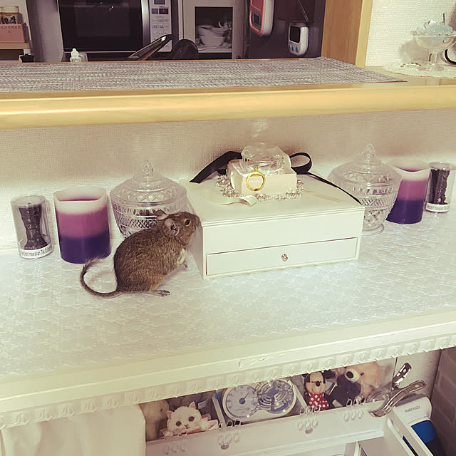 meshiさんの実例写真