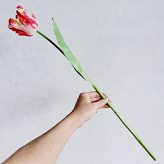 daily-order-mailさんの実例写真