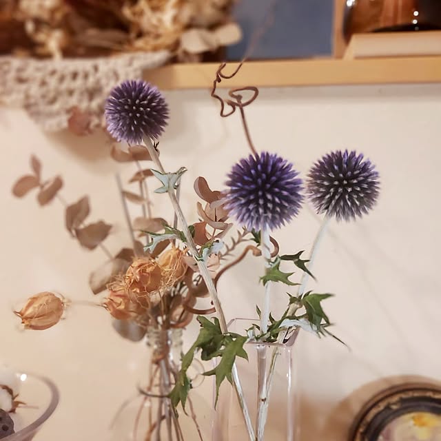makkyさんの部屋