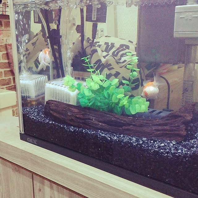 Mozukuさんの実例写真