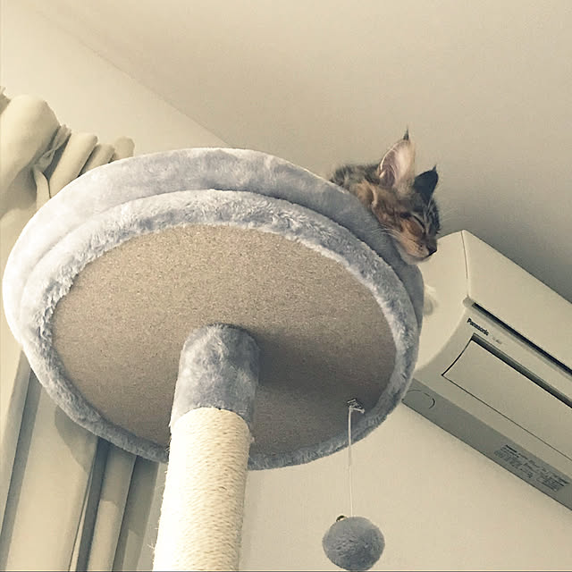 Takuyaさんの実例写真