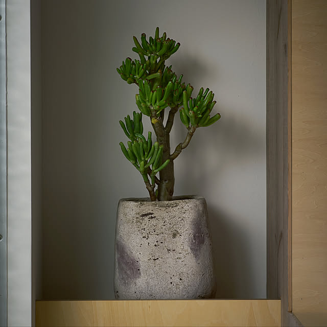 tomi_designさんの実例写真