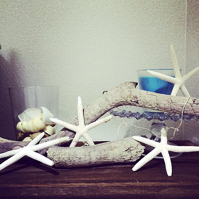 バス/トイレ/スターフィッシュ/流木/ハンドメイド/IKEAのインテリア実例 - 2015-05-11 01:33:28