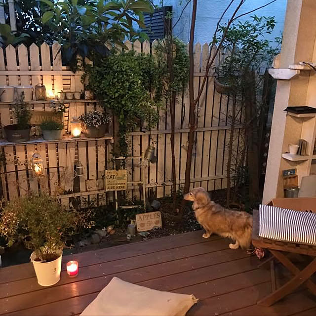 Junさんの実例写真