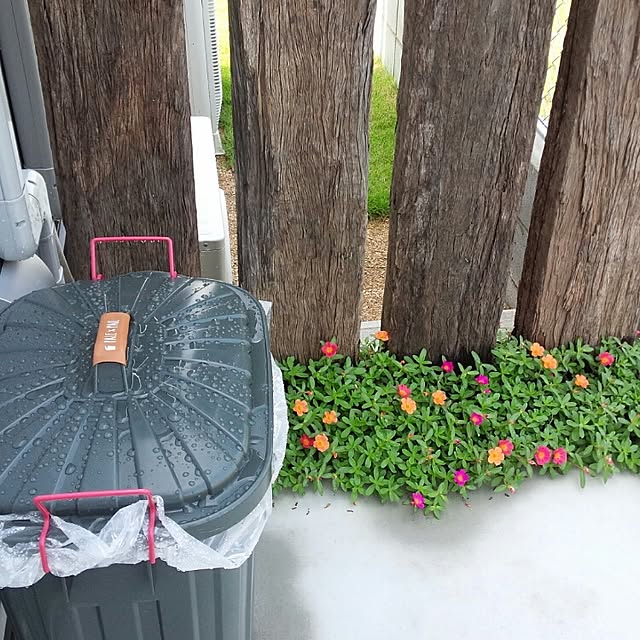 naokokkoさんの実例写真