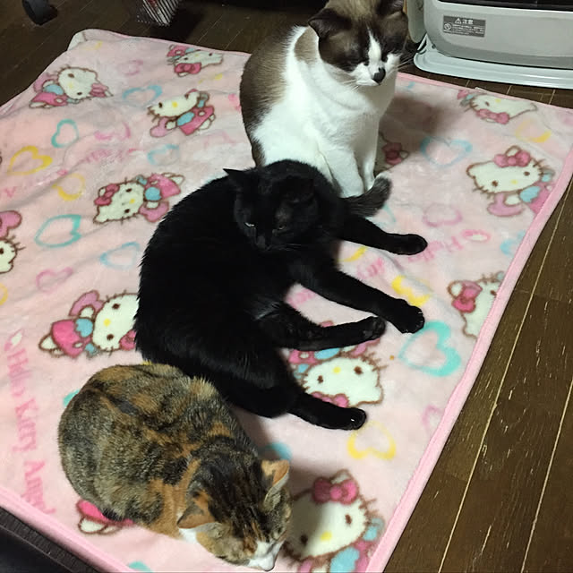 vivienne.coco-keiさんの実例写真