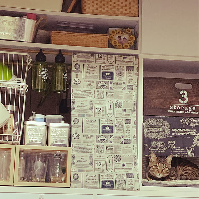 kataさんの実例写真