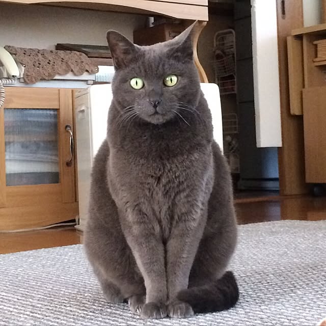 kuroreoさんの実例写真