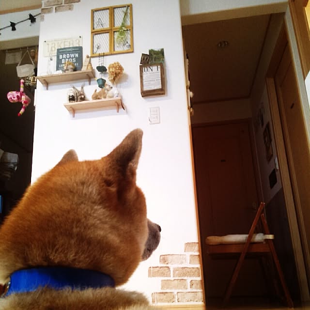 kotaさんの実例写真
