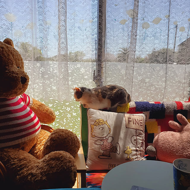 kumutanさんの実例写真
