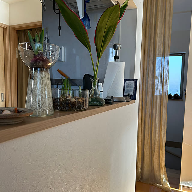 hatsugaさんの実例写真